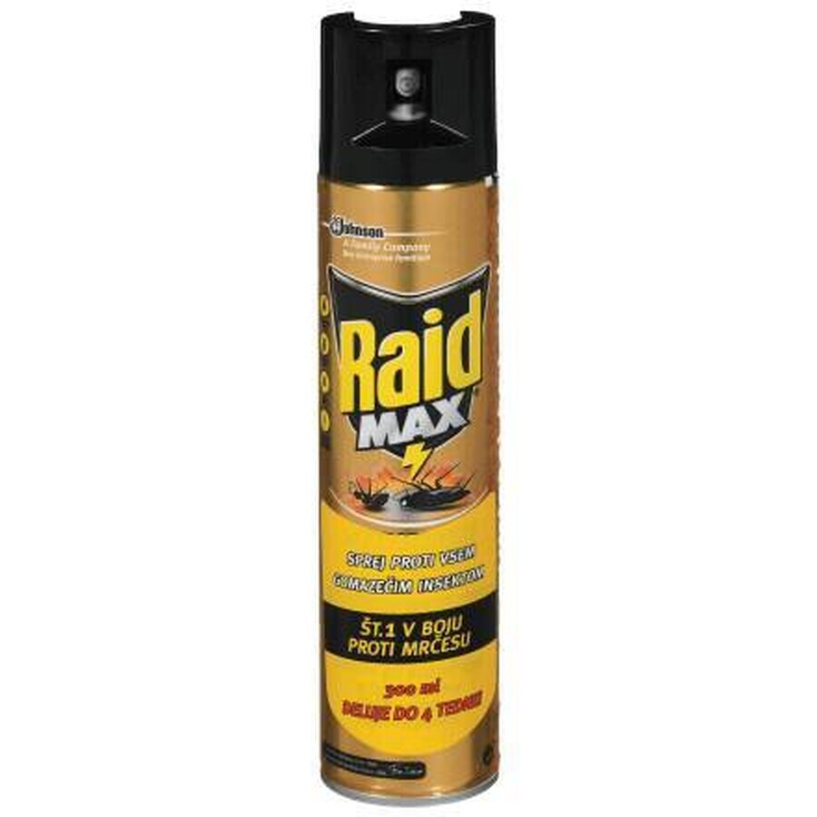 Raid Spray contro scarafaggi, 300 ml