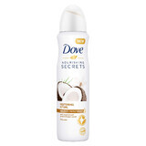 Desodorante Secretos Nutritivos Coco en Spray, 150 ml, Dove Mujer