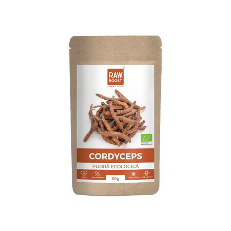 Polvere ecologica Cordyceps, 60 gr, Rawboost