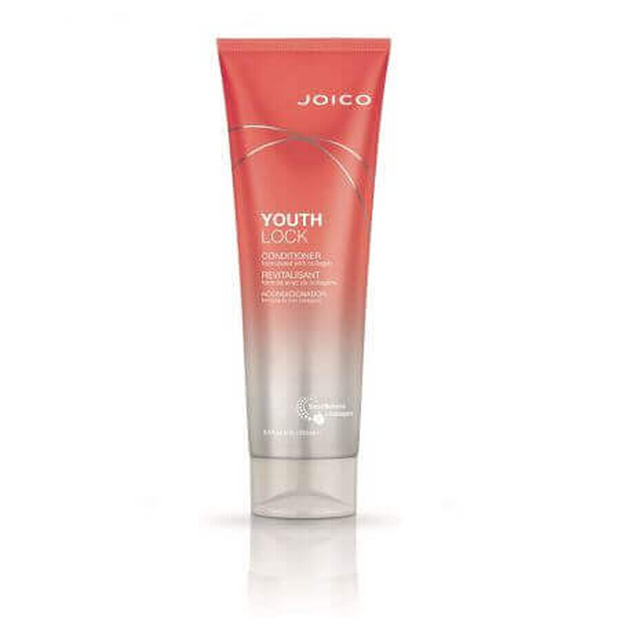 Conditioner met collageen voor rijp haar Youthlock, 250 ml, Joico