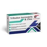 Tribulus Terrestris Zinc, 40 capsules, FarmaClass