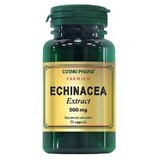 Echinacea Extract 500 mg, 30 capsules, Cosmopharm