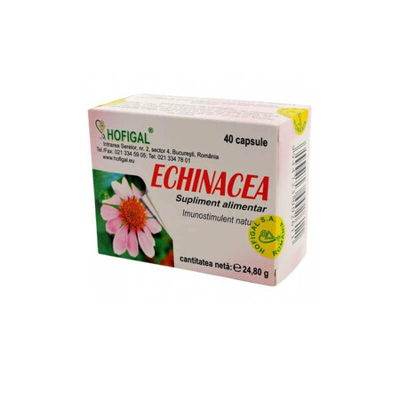 Echinacea, 40 capsule, Hofigal