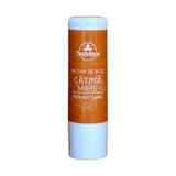 Lip balm with catina and honey 100% natural, 5 g, Trio Verde