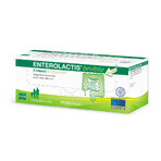 Enterolactis Bevibile, 12 flaconcini x 10 ml, Sofar