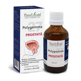 Polygemma 27 Prostate, 50ml, Plant Extrakt