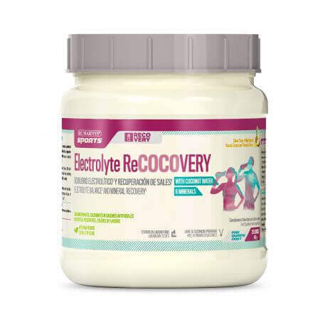 Elettrolita ReCOCOvery, 450 g, Marnys