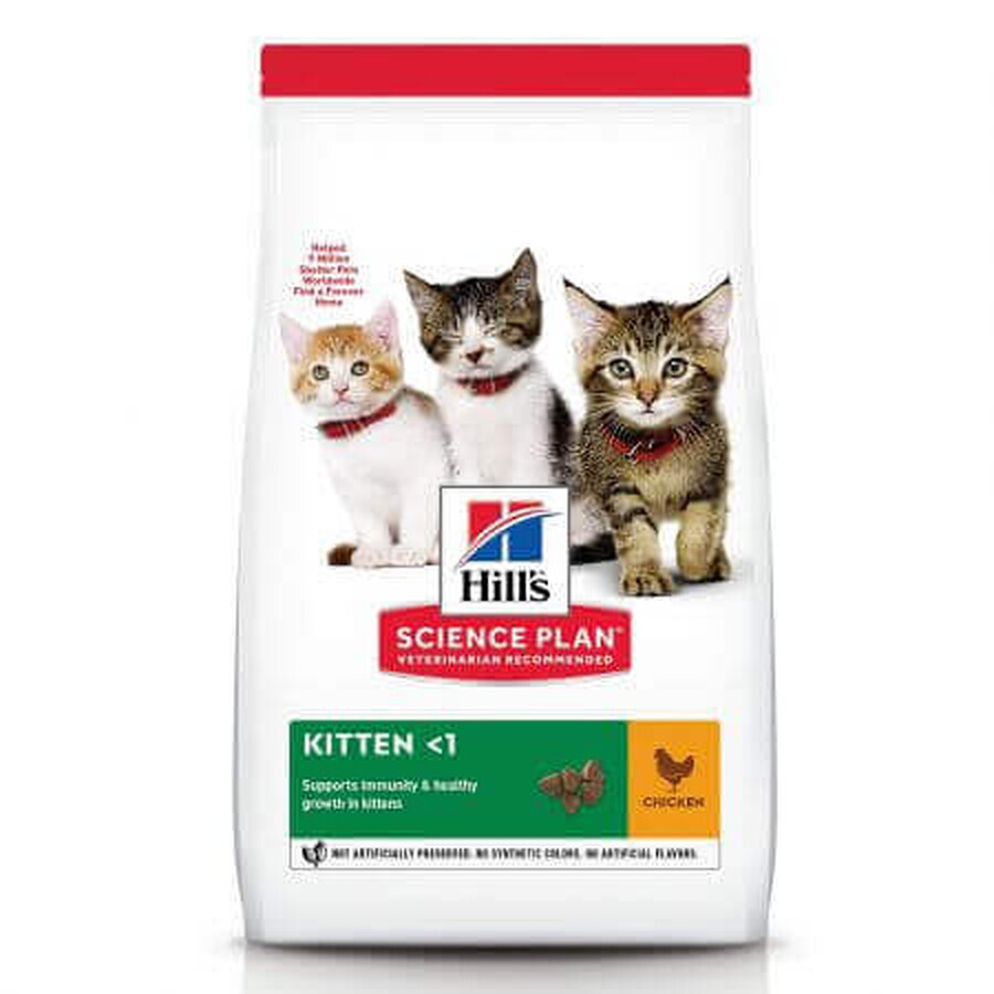 Alimento a base di pollo per gatti Kitten, 300 g, Hill's SP