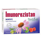 Immunorezistan Immunity, 30 capsules, Plant Extrakt