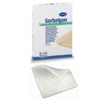 Sorbalgon Medicazione Sterile 10x10 10 Pezzi