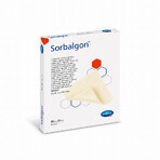 Sorbalgon Medicazione Sterile 10x10 10 Pezzi