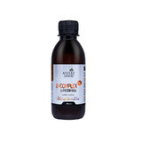 B-Complex Forte Liposomal, líquido, 200 ml, Adelle Davis