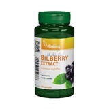 Bilberry Black Bilberry Extract 470 g, 90 capsules, VitaKing