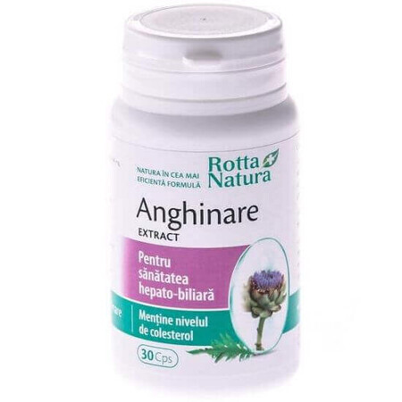 Artichoke Extract, 30 capsules, Rotta Natura