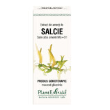 Extracto de sauce salix, 50 ml, Plant Extrakt