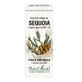 Estratto di germogli di sequoia, 50 ml, estratto vegetale