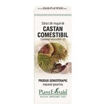 Estratto di gemme di castagno commestibile, 50 ml, estratto vegetale