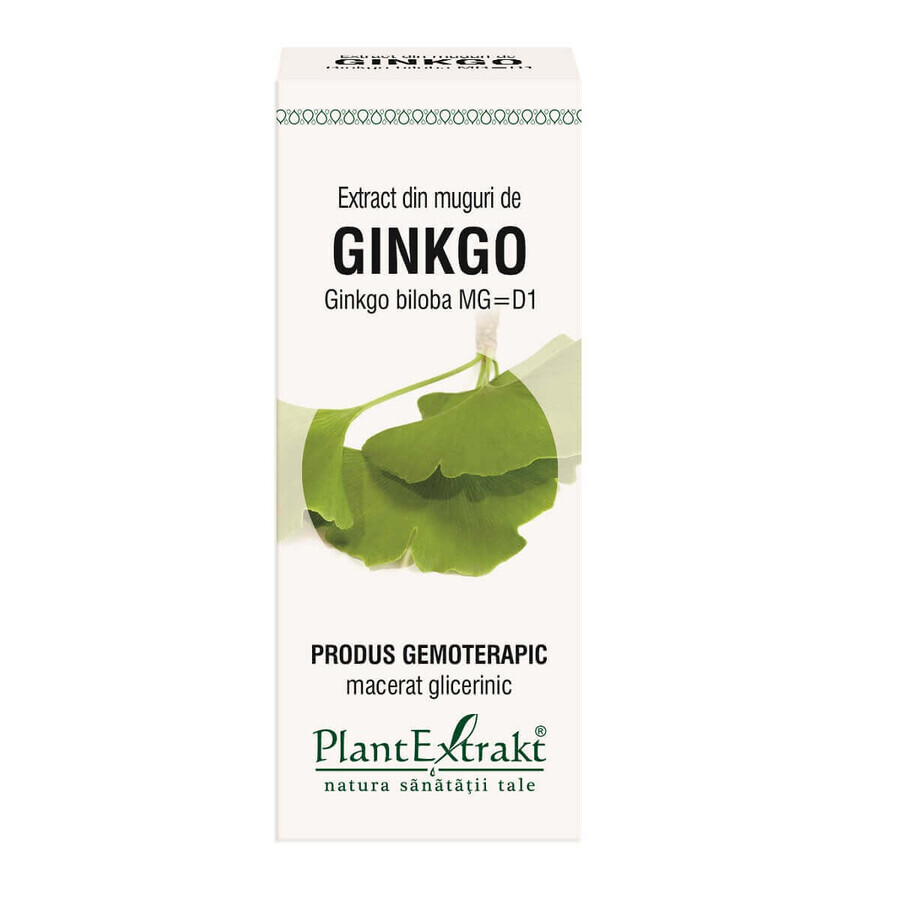 Ginkgo Biloba bud extract, 50 ml, Plant Extrakt