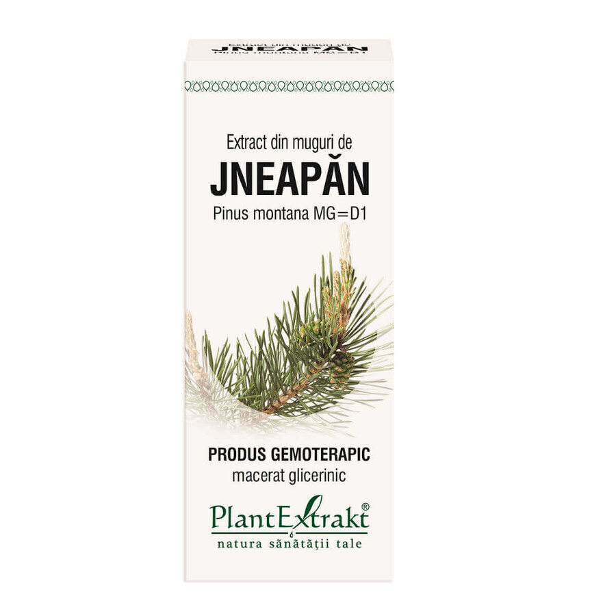 Extracto de Yema de Jneapan 50 ml, Extracto vegetal