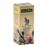 Estratto di gemme di lillà, 50 ml, estratto vegetale