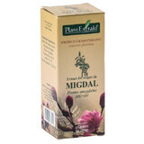 Extract from the buds of Migdal, 50 ml, Plant Extrakt