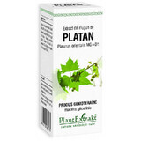 Plantain bud extract, 50 ml, Plant Extrakt