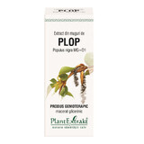 Poplar bud extract, 50 ml, Plant Extrakt