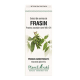 Frasin seed extract, 50 ml, Plant Extrakt