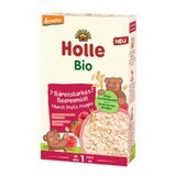 Biologische musli met fruit en tomaat, 1 jaar +, 200 gr, Holle