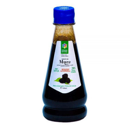 Blackberry syrup, 250 ml, Divine Star