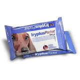 Yriplus Pocket salviette umidificate per cani e gatti, 20 pezzi, ICF