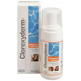 Antiseptic foam for dogs and cats, 100 ml, Clorexyderm 4%