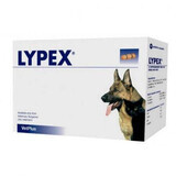 Integratore coadiuvante contro la sindrome da malassorbimento nel cane e nel gatto Lypex, 60 capsule, VetPlus