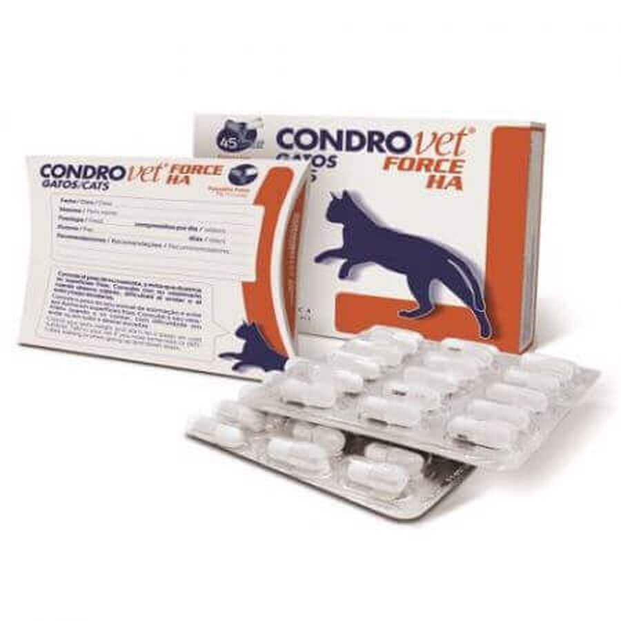 Integratore coadiuvante per il ripristino del comfort articolare nel gatto Condrovet Force HA, 45 capsule, Bioiberica