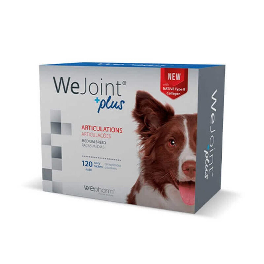 Integratore contro le infiammazioni articolari per cani di taglia media WeJoint Plus Medium Breed, 120 compresse, WePharm