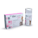 Integratore nutrizionale per il supporto della funzione urinaria nei gatti WeCysto Plus, 50 ml, WePharm