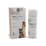 Integratore per il buon funzionamento dello stomaco sotto forma di flacone con siringa dosatrice per cani e gatti WeGastro, 60 ml, WePharm