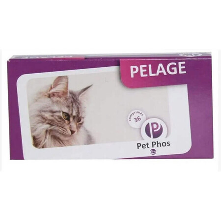 Integratore per migliorare l'aspetto della pelle e del pelo del gatto Pet Phos Felin Pelage, 36 compresse, Ceva Sante