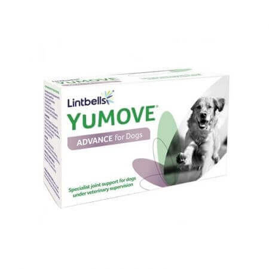 Integratore per supportare il metabolismo delle articolazioni nei cani YuMove Advance 360, 120 compresse, Lintbells