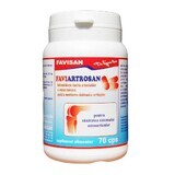 Faviarthrosan, 70 capsule, Favisan