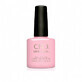 Semi-permanent nail polish CND Shellac Candied 7.3ml