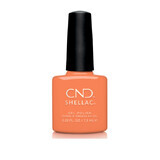 Smalto semipermanente CND Shellac Catch Of The Day 7,3ml