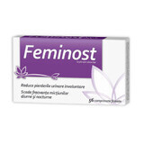 Feminost, 56 tablets, Zdrovit