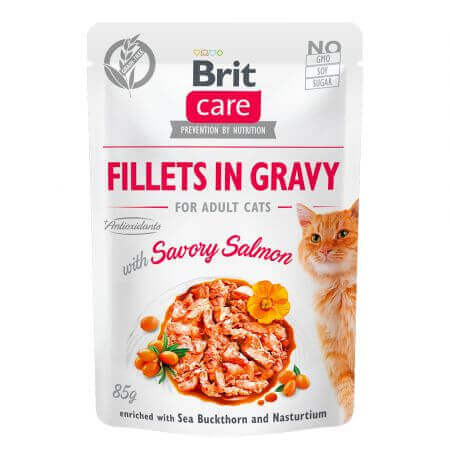 Cibo umido per gatti con filetti di salmone Brit Care Filetti in salsa con salmone saporito, 85 g, Brit