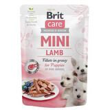 Cibo umido con agnello per cani Filetti in Graby Mini Puppy, 85 g, Brit