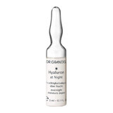 Fiala con concentrato attivo per la notte con acido ialuronico (41150), 3 ml, Dr. Grandel