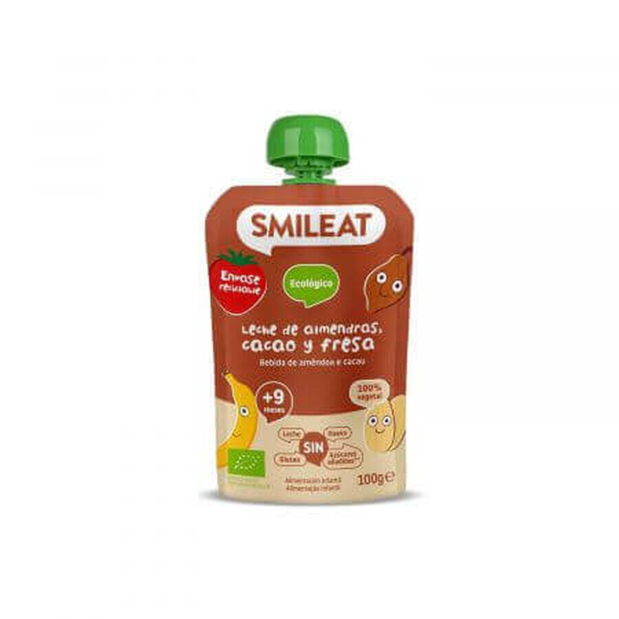 Organic Almond, Cocoa and Strawberry Puree, +9 months, 100 g, Smileat