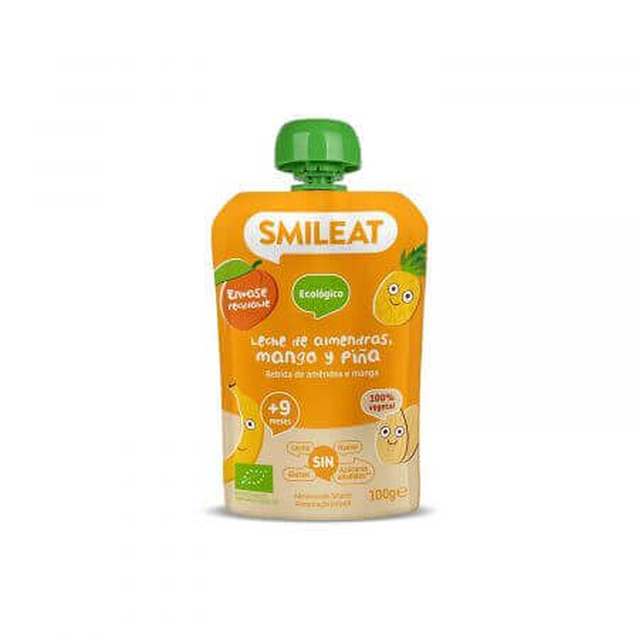 Organic puree of almonds, mango and pineapple, +9 months, 100 g, Smileat