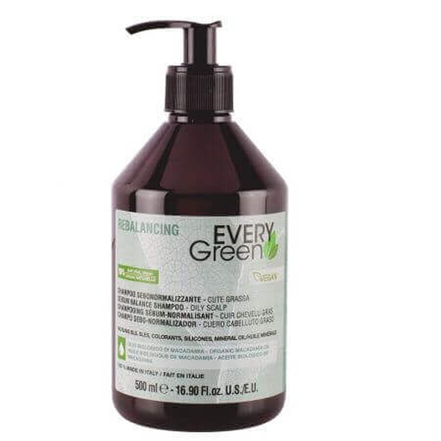 Shampoo per cuoio capelluto grasso Sebum Control, 500 ml, Every Green
