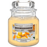 Vela perfumada Yankee Candle Citrus Spice, 104 g